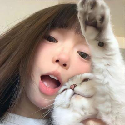 芬妮的勇敢旅程